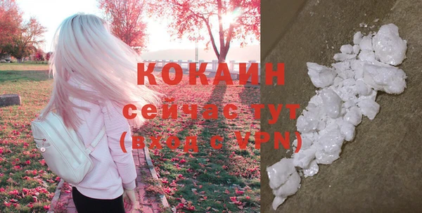 прущие крисы Вяземский
