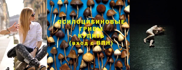 ешки Вязники